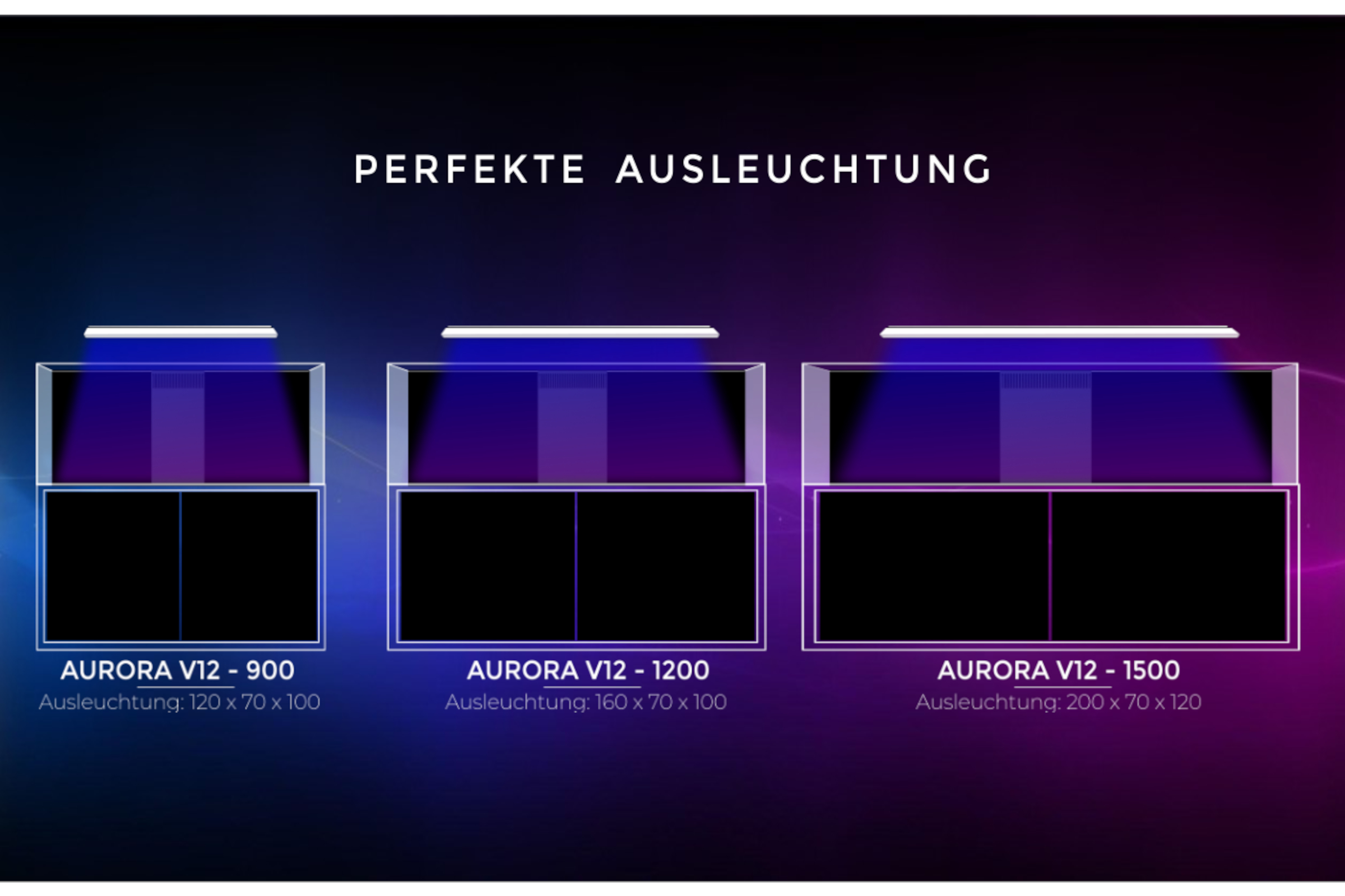 Perfekte Ausleuchtung: Aurora V12 Leuchten über Aquarien